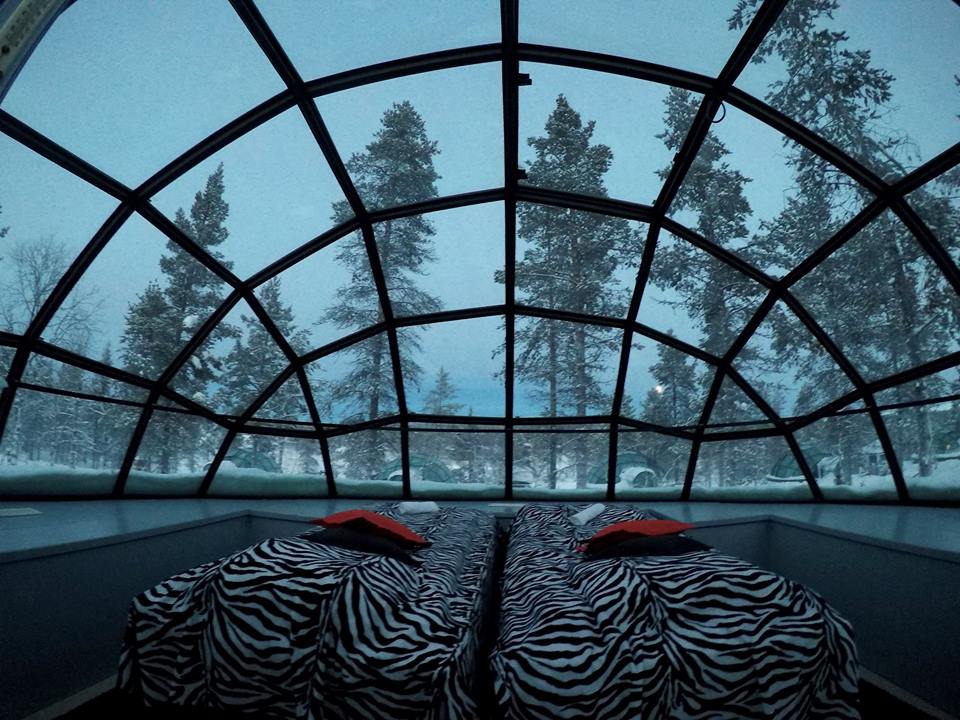 Kakslauttanen arctic resort inside glass igloo east village