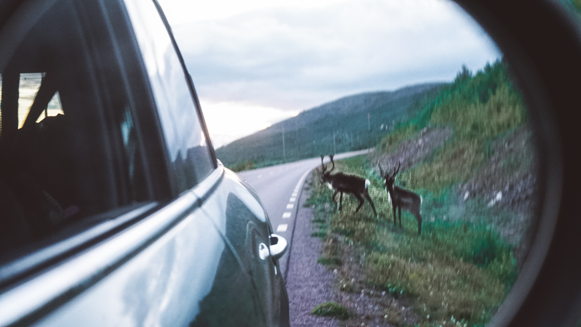 The Ultimate Road Trip Adventure To Lofoten Islands (Norway)