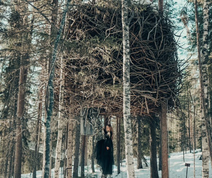 The Complete Treehotel Travel Guide: Stay in the Trees in Sweden