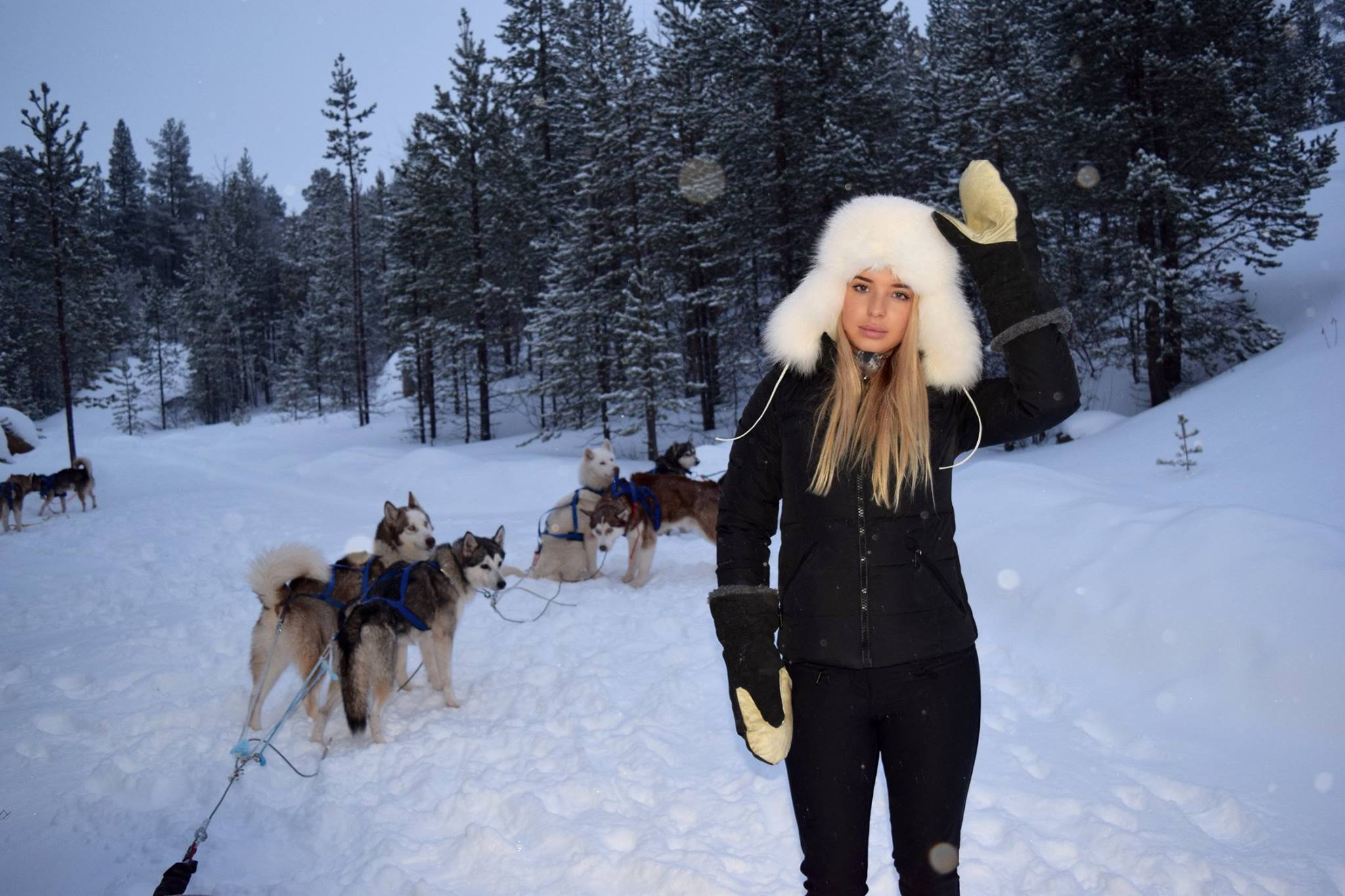 Kakslauttanen arctic resort husky sledding