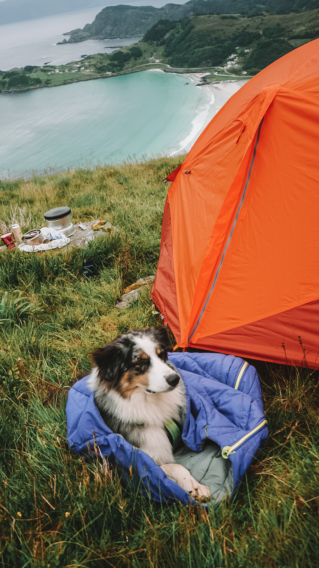 Refsviksanden+Hike+Dog+Norway+Camping+Tent